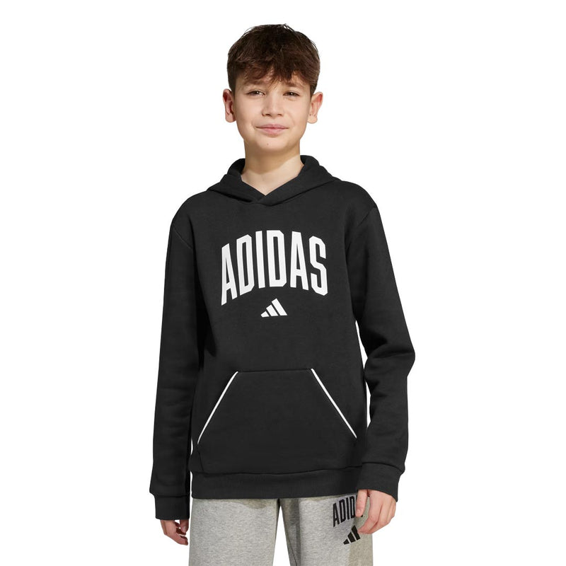 adidas - Kids' (Junior) Seasonals Essentials Collegiate Typography Hoodie (JM1536)