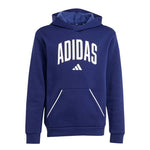 adidas - Kids' (Junior) Seasonals Essentials Collegiate Typography Hoodie (JV7338)