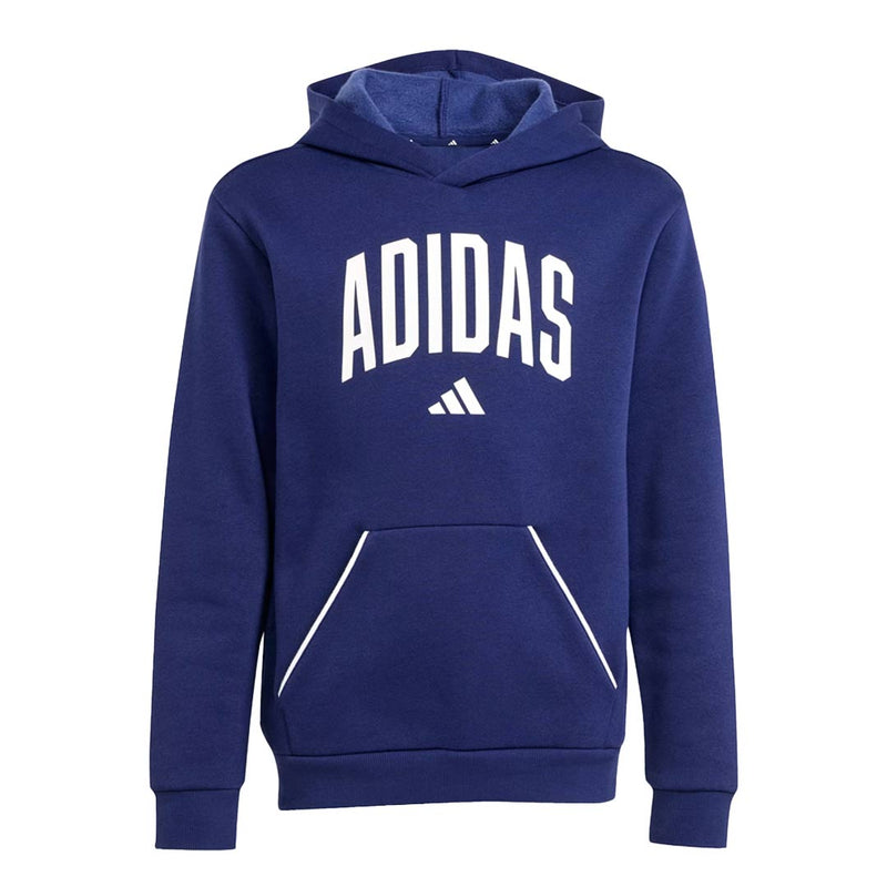 adidas - Kids' (Junior) Seasonals Essentials Collegiate Typography Hoodie (JV7338)