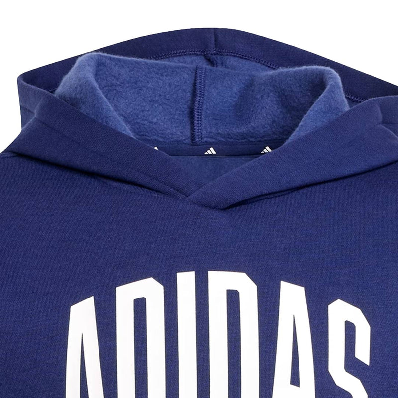 adidas - Kids' (Junior) Seasonals Essentials Collegiate Typography Hoodie (JV7338)