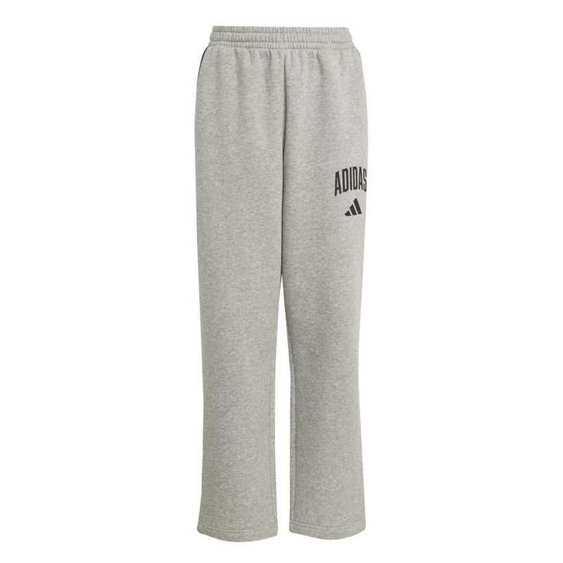 adidas - Kids' (Junior) Seasonals Essentials Collegiate Typography Pant (JW2386)