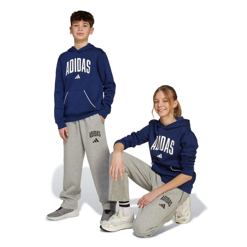 adidas - Kids' (Junior) Seasonals Essentials Collegiate Typography Pant (JW2386)