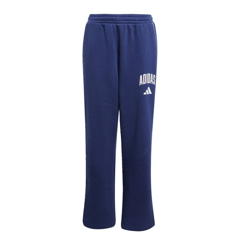 adidas - Kids' (Junior) Seasonals Essentials Collegiate Typography Pant (JW2387)
