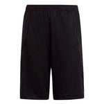 adidas - Kids' (Junior) Train Essentials Aeroready Logo Shorts (IC5658)