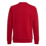 adidas - Kids' (Junior) Trefoil Crew Sweatshirt (IB9974)