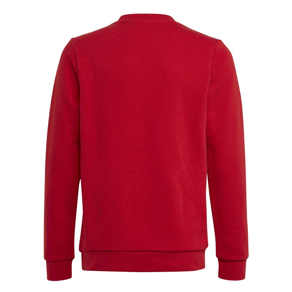 adidas - Kids' (Junior) Trefoil Crew Sweatshirt (IB9974)