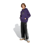 adidas - Kids' (Junior) Trefoil Hoodie (JV8653)