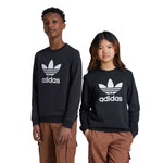adidas - Kids' (Junior) Trefoil Sweatshirt (IY7435)