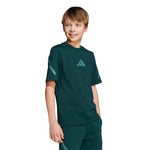 adidas - Kids' (Junior) Z.N.E. T-Shirt (JW2432)