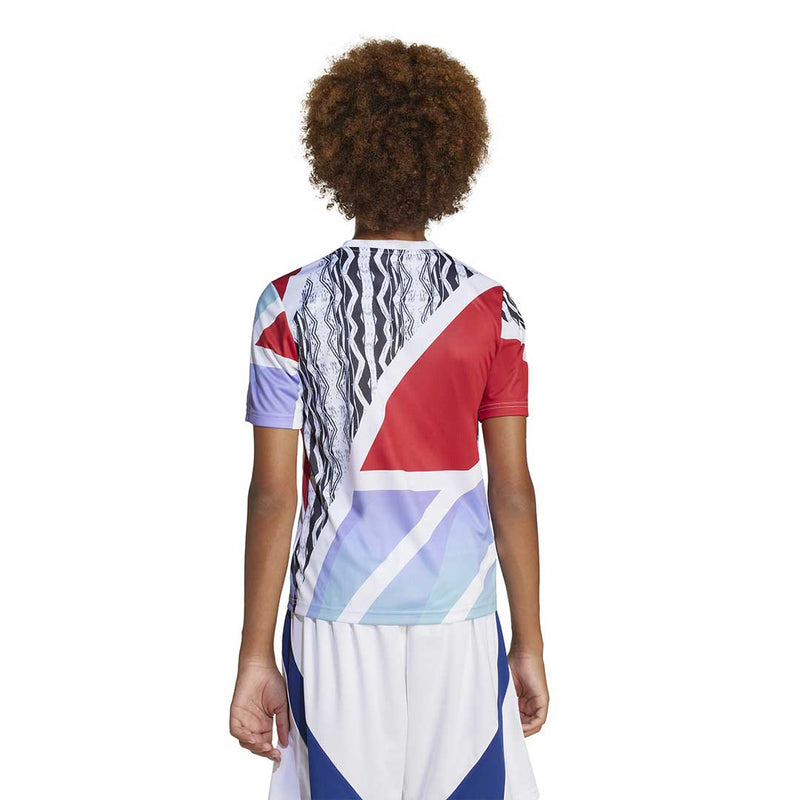 adidas - Kids' (Youth) Arsenal FC Pre-Match Jersey (JE7565)