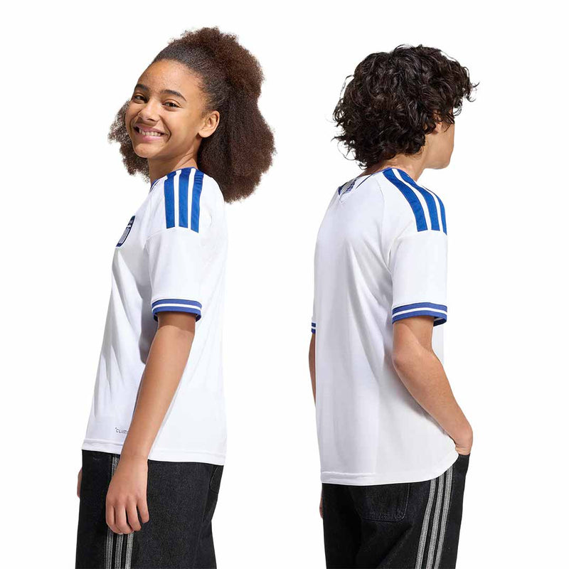 adidas - Kids' (Youth) Greece 26 Home Jersey (KF3551)