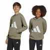 adidas - Kids' (Junior) Essentials Hoodie (JC9673)