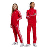 adidas - Kids' (Junior) Adicolor Firebird Pant (IY9806)