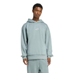 adidas - Men's All SZN Fleece Hoodie (KC3180)