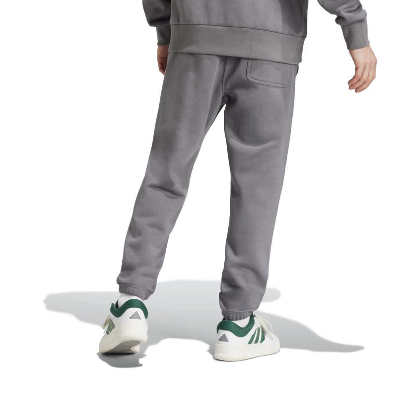 adidas - Pantalon de jogging en polaire SZN pour hommes (IY6569)