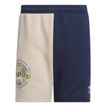 adidas - Men's Blocked Fleece Shorts (IL2401)