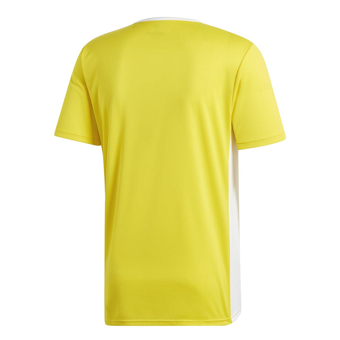 adidas entrada 18 jersey white
