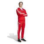 adidas - Men's FC Bayern DNA Full Zip Hoodie (HY3284)
