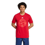adidas - Men's FC Bayern DNA Graphic T-Shirt (IS6509)