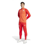 adidas - Men's FC Bayern Tiro 23 Training Pant (IQ0605)