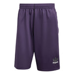 adidas - Men's Graphic Mesh Shorts (JY2758)