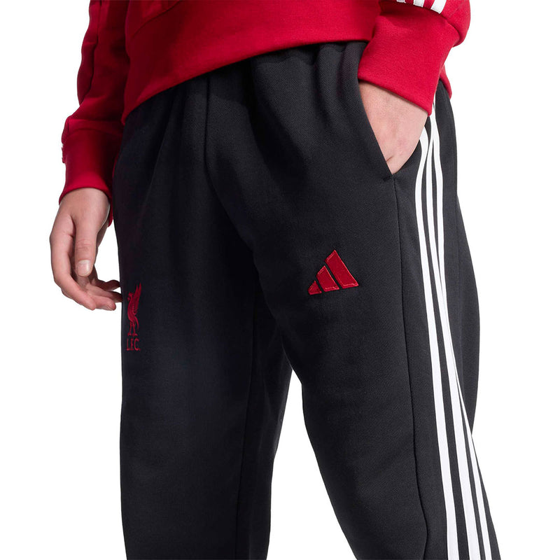adidas - Men's Liverpool FC DNA Track Pant (JW7891)