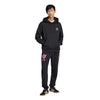 adidas - Men's Originals Hoodie (JP0980)