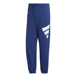 adidas - Men's Sportswear Future Icons Logo Graphic Pant (H39799)