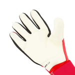 adidas - Predator Goalkeeper Gloves (JH3821)