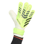adidas - Predator Training Goalkeeper Gloves (JN5356)