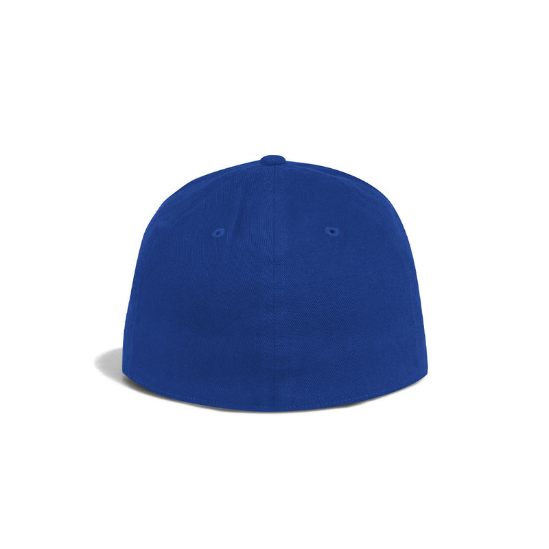 adidas - Structured Flex Cap (EC2656)
