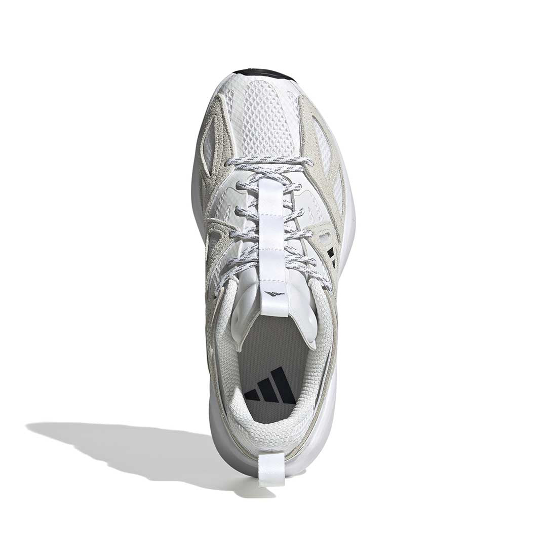 ダンディー Adidas x Ninja ZX Torsion 
