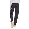 adidas - Women's Terrex Liteflex Hiking Pant (HN2951)