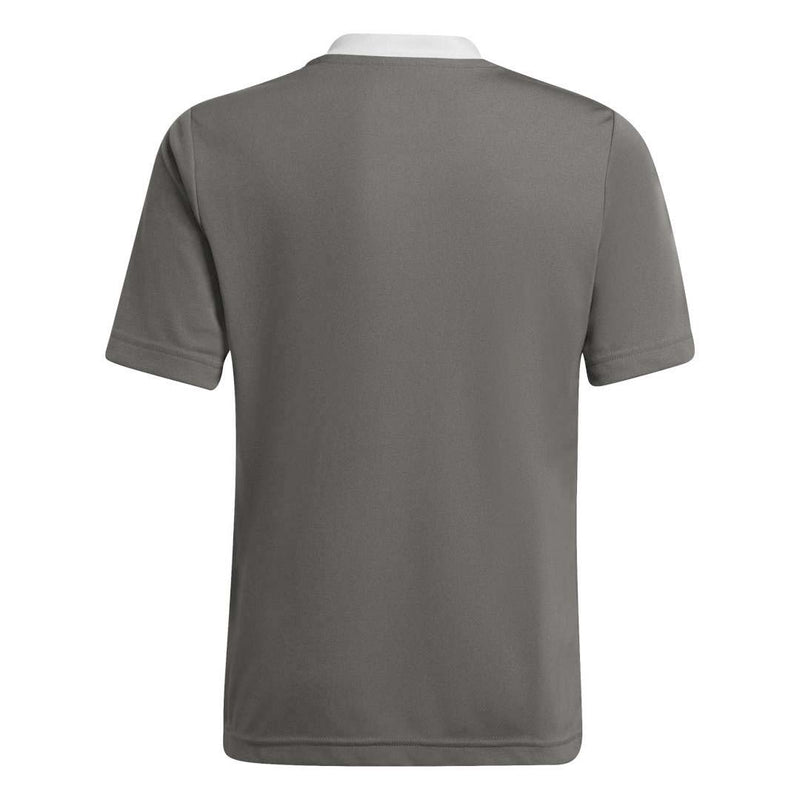 adidas - Kids' (Junior) Entrada 22 Jersey (H57499)