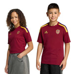 adidas - Kids' (Youth) Venezuela 26 Home Fan Jersey (KC9539)