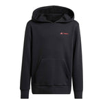 adidas - Kids' (Junior) adidas x 20th Century Fox Home Alone Hoodie (JW2459)