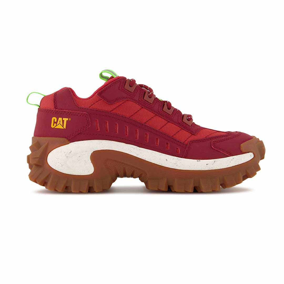 Cat hotsell intruder red