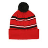 NBA - Kids' (Youth) Raptors Cuff Pom Knit (HK2BOBAUWF 20 RAP)