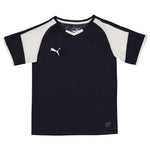 Puma - Kids' (Junior) Borussia Jersey (703038 05-Y)