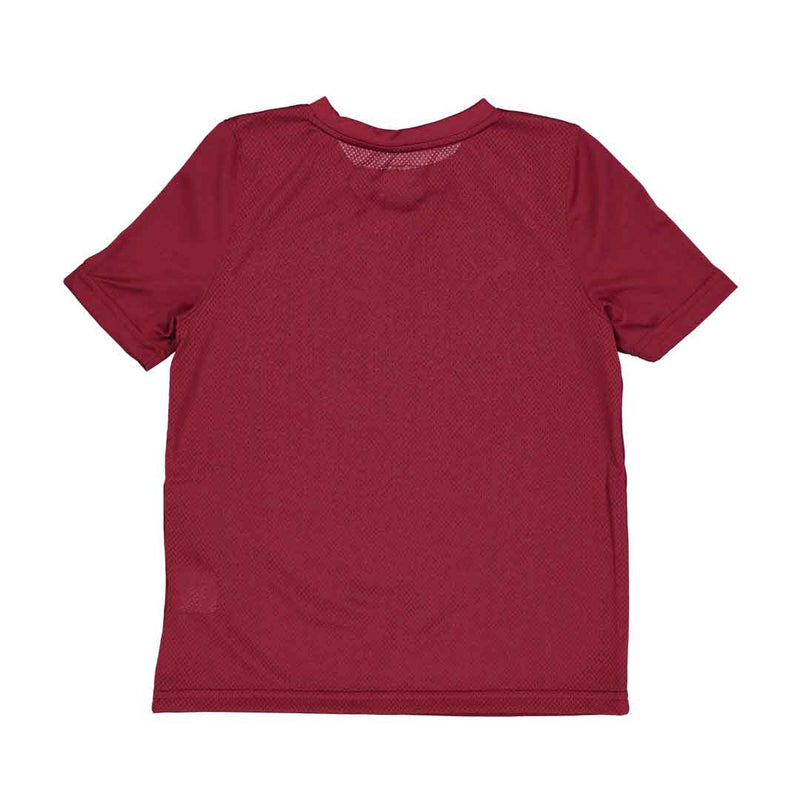 Puma - Kids' (Junior) Team Shirt (701269 09-Y)