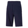 Puma - Short Essentials 10 pouces pour homme (586709 06)