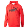 Puma - Sweat à capuche Essentials pour homme (852422 11)