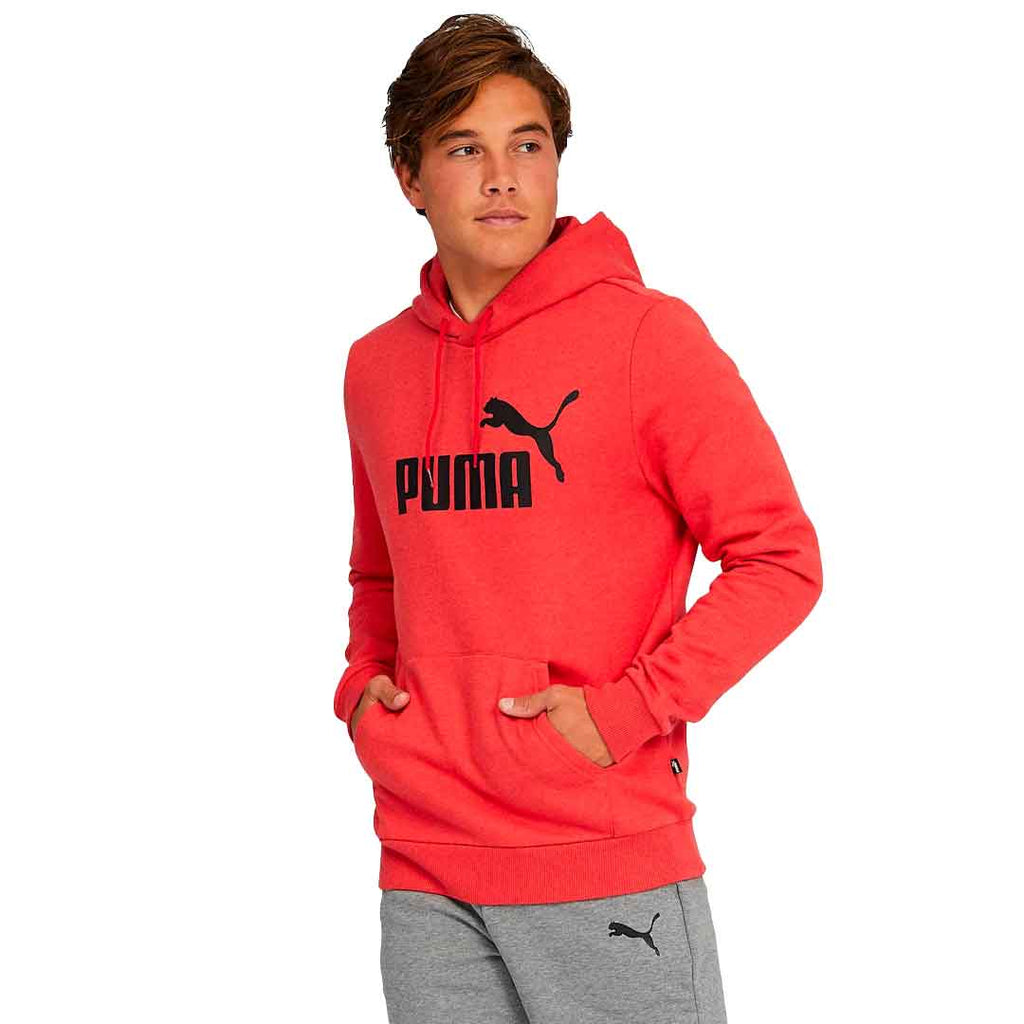 Puma - Sweat à capuche Essentials pour homme (852422 11)