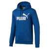 Puma - Sweat à capuche Essentials pour homme (852422 39)