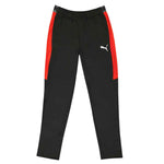 Puma - Men's Speed Pant 2.0 (657724 05)