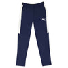Puma - Men's Speed Pant 2.0 (657724 09)