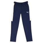 Puma - Men's Speed Pant 2.0 (657724 09)