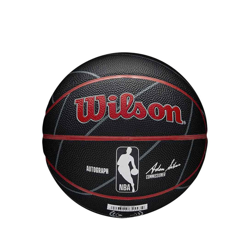 Wilson - Toronto Raptors Autograph Mini Ball (WTB3300XBTOR)