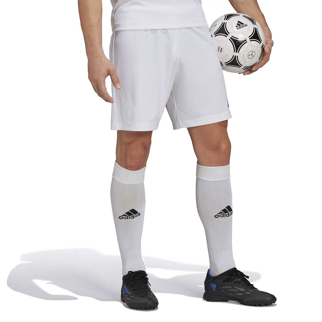 Adidas shop entrada short
